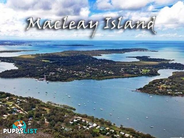 124 Kate Street MACLEAY ISLAND QLD 4184