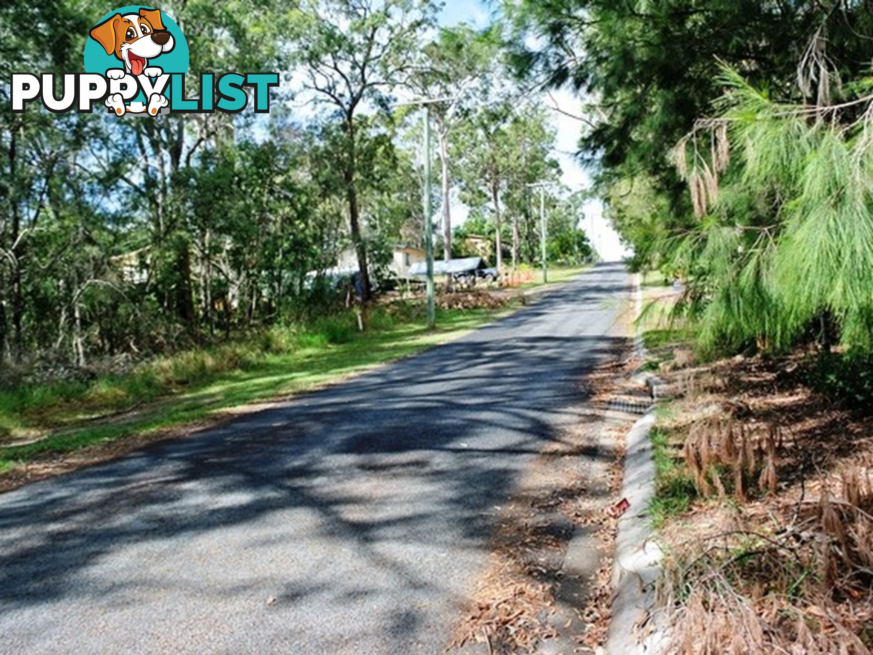 124 Kate Street MACLEAY ISLAND QLD 4184