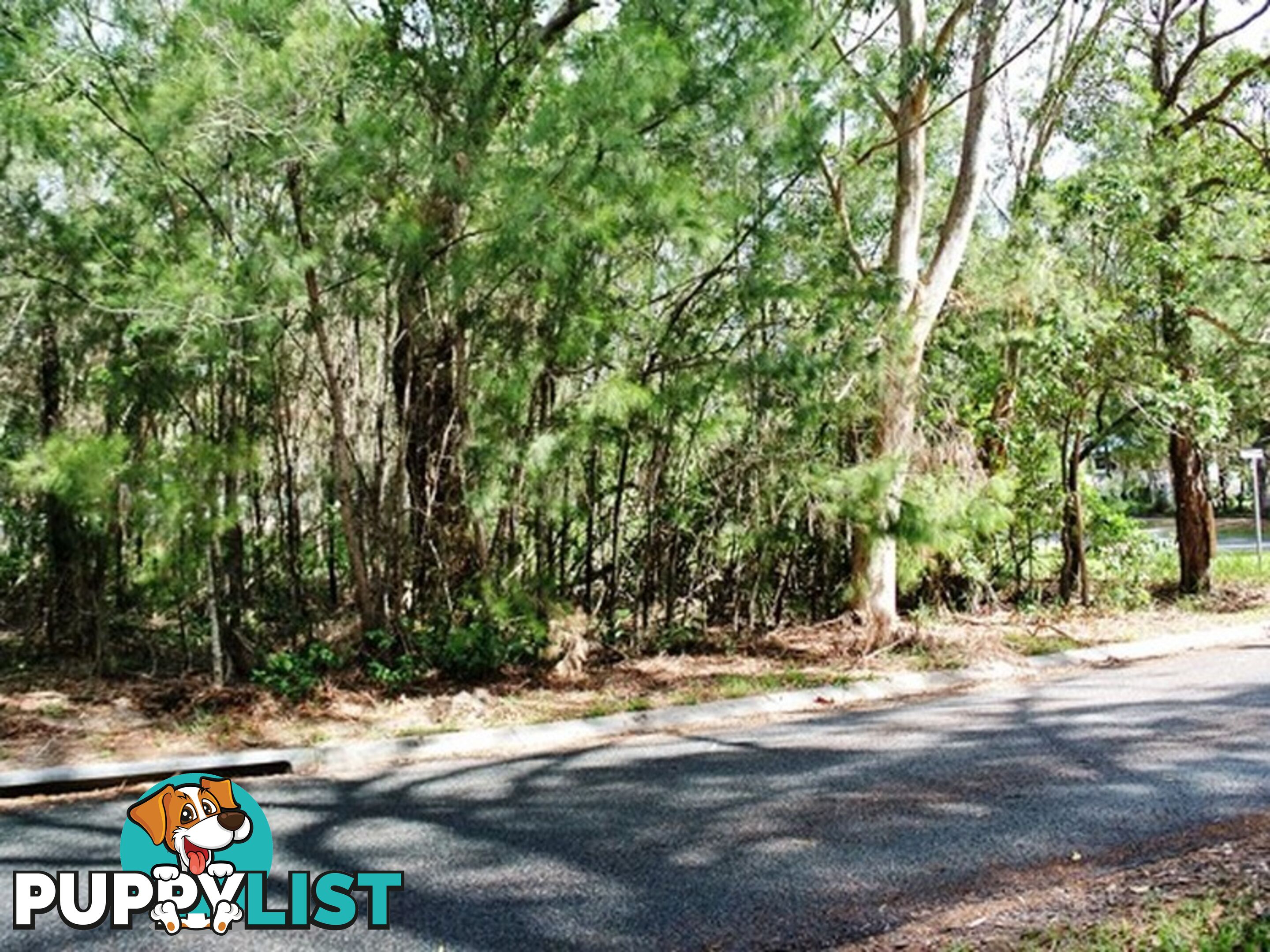 124 Kate Street MACLEAY ISLAND QLD 4184