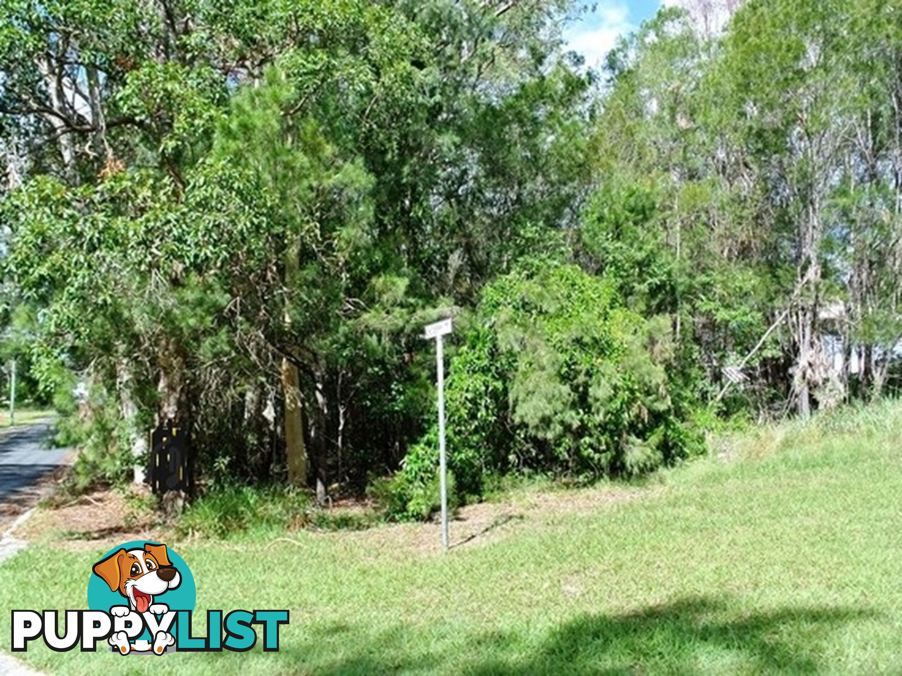 124 Kate Street MACLEAY ISLAND QLD 4184