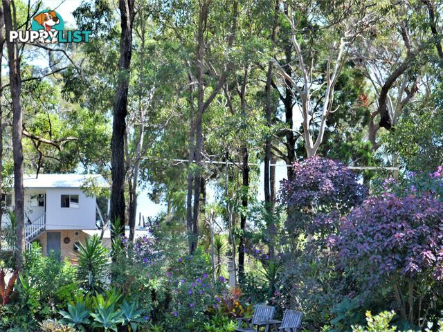 29 Wharf Street MACLEAY ISLAND QLD 4184