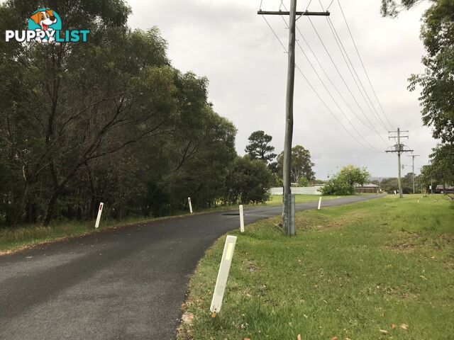 49 Camena Street MACLEAY ISLAND QLD 4184