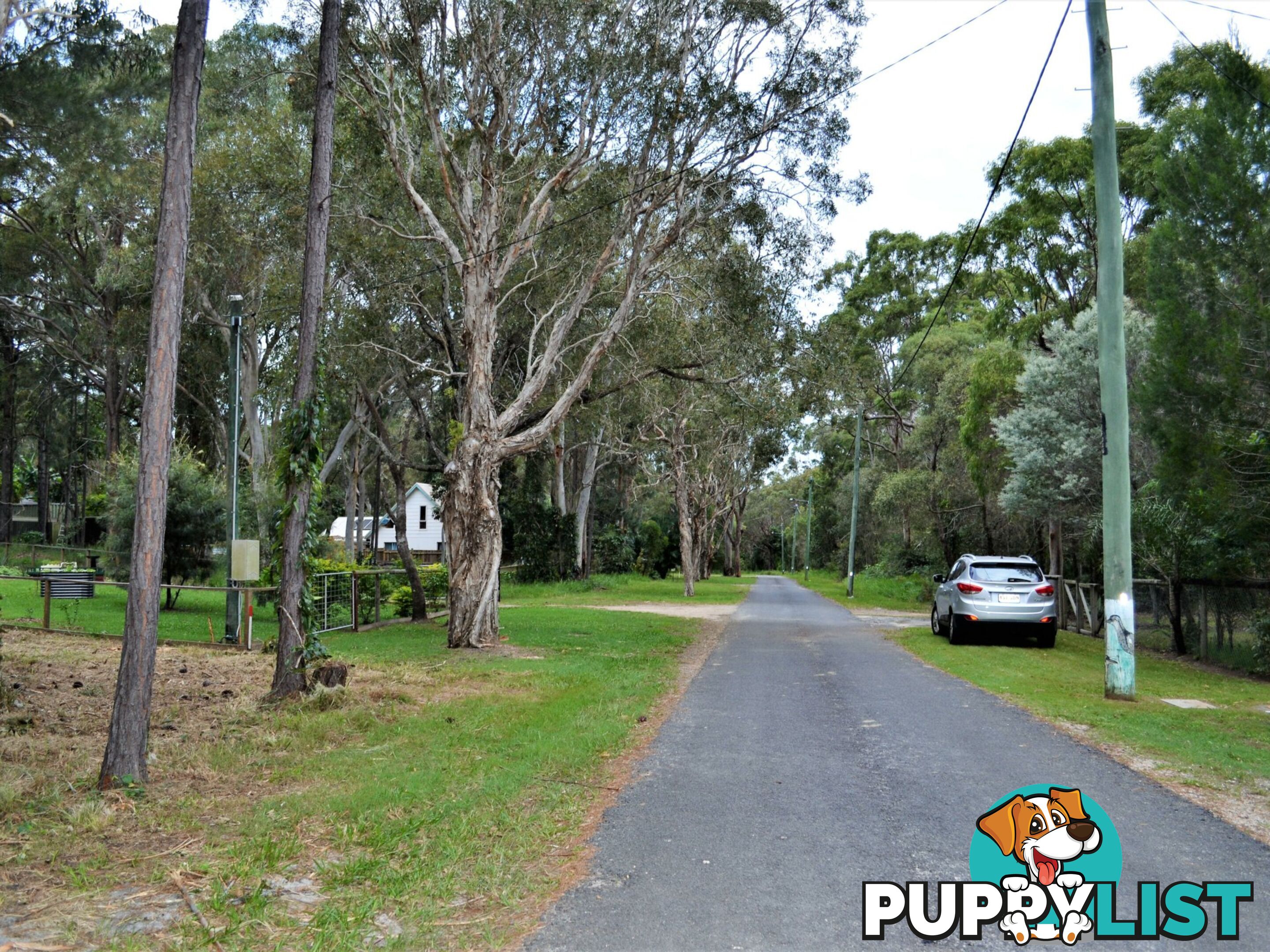 38 Alexander Street MACLEAY ISLAND QLD 4184