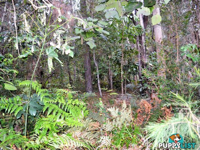 38 Alexander Street MACLEAY ISLAND QLD 4184