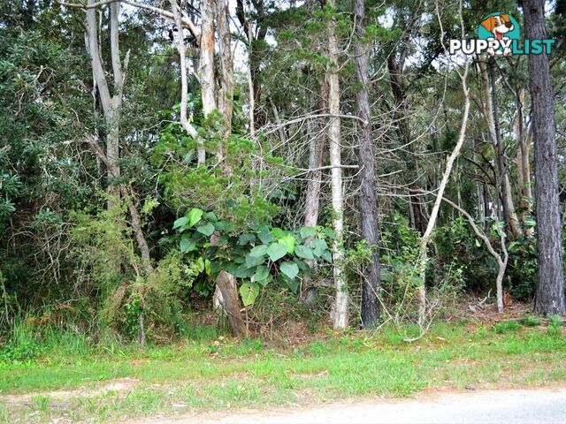 38 Alexander Street MACLEAY ISLAND QLD 4184