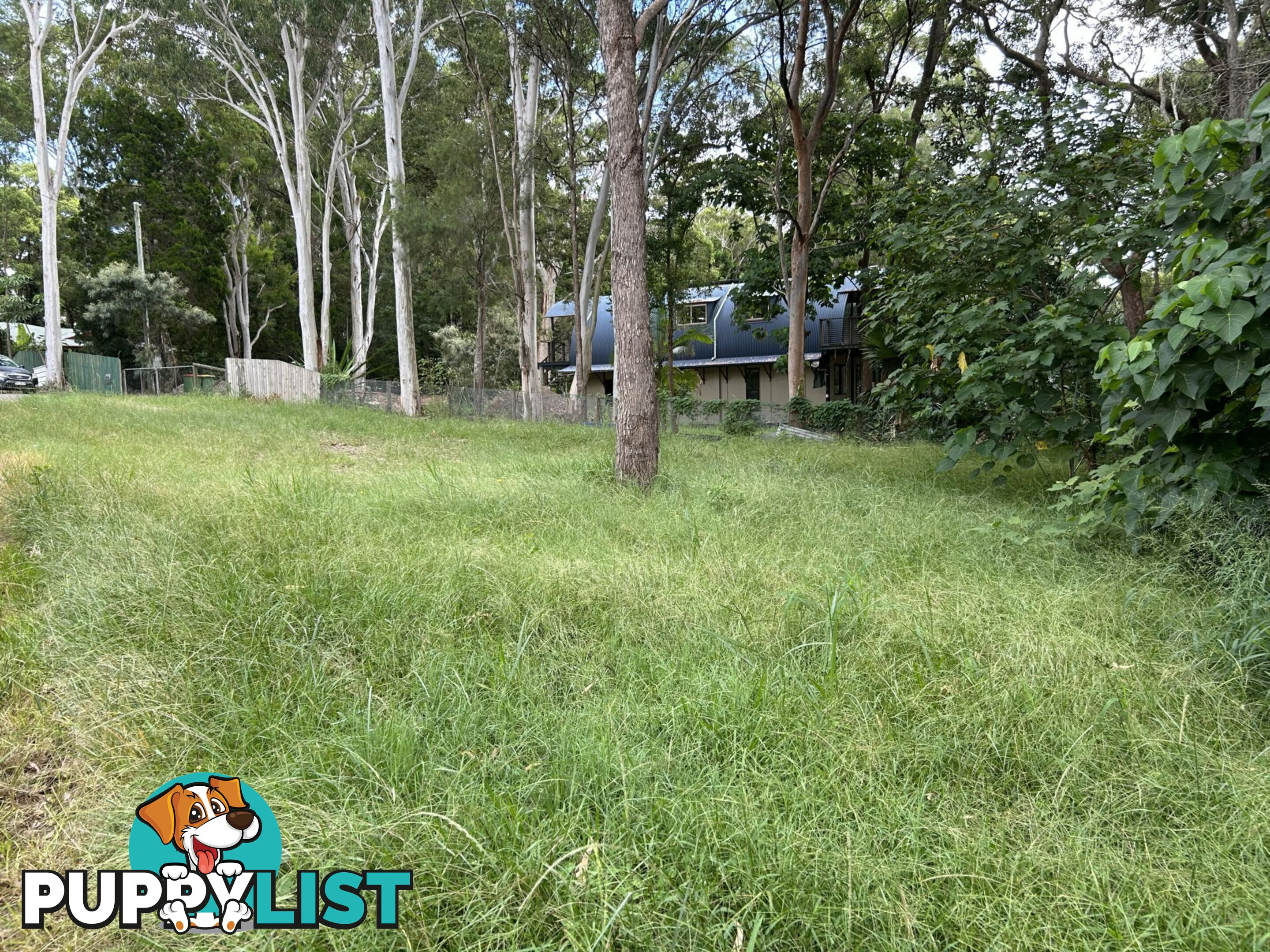 15 Ore Street MACLEAY ISLAND QLD 4184