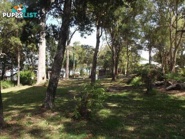 145 Kate Street MACLEAY ISLAND QLD 4184