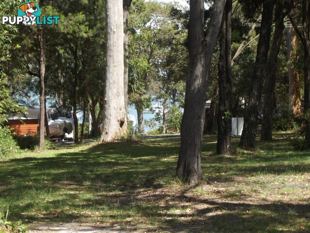 145 Kate Street MACLEAY ISLAND QLD 4184