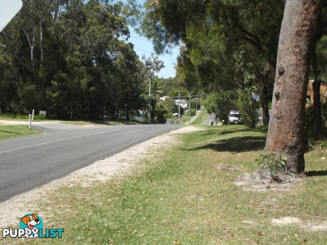 145 Kate Street MACLEAY ISLAND QLD 4184