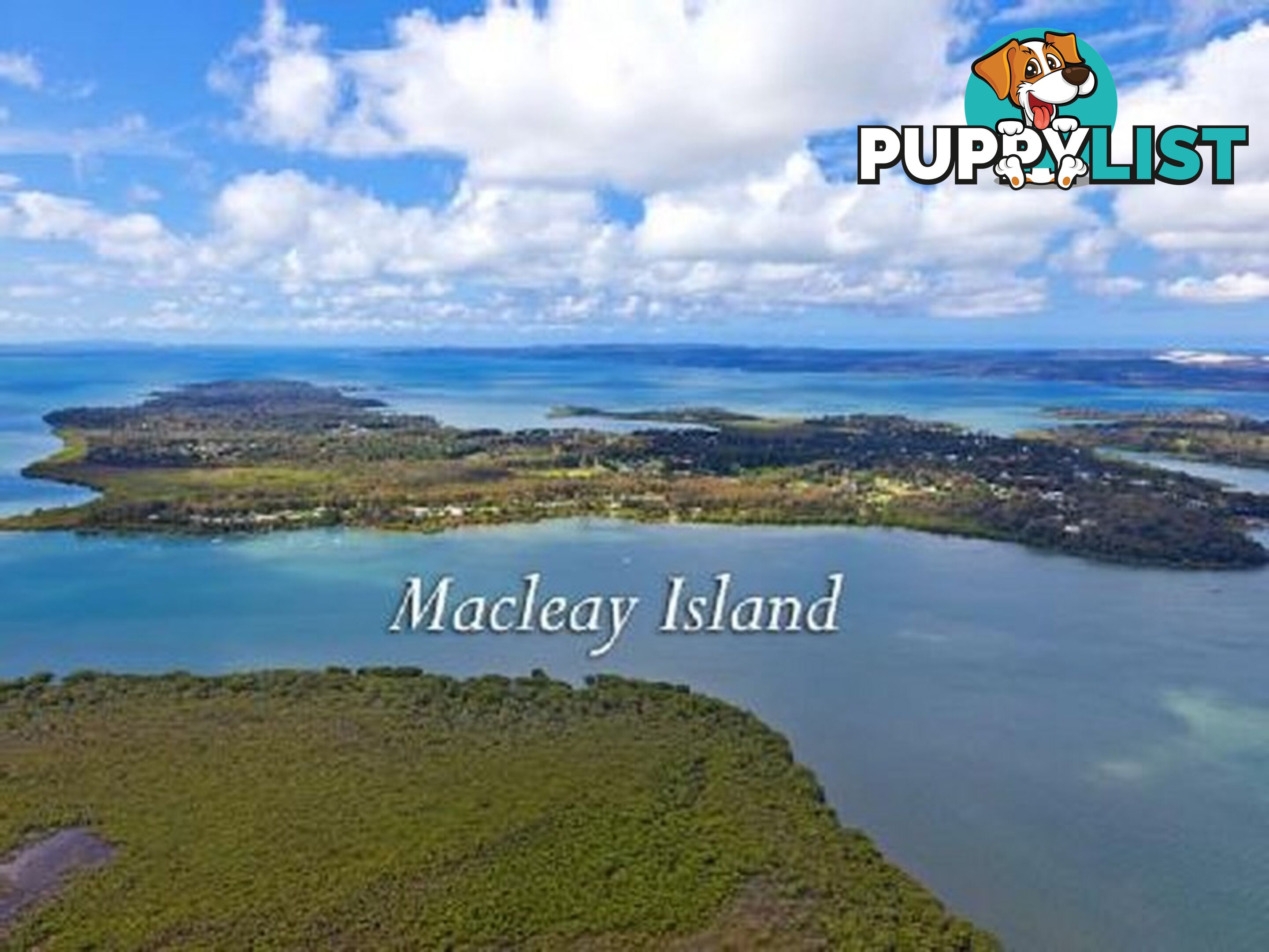 22 Timothy Street MACLEAY ISLAND QLD 4184