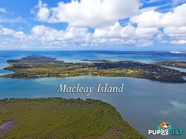 22 Timothy Street MACLEAY ISLAND QLD 4184