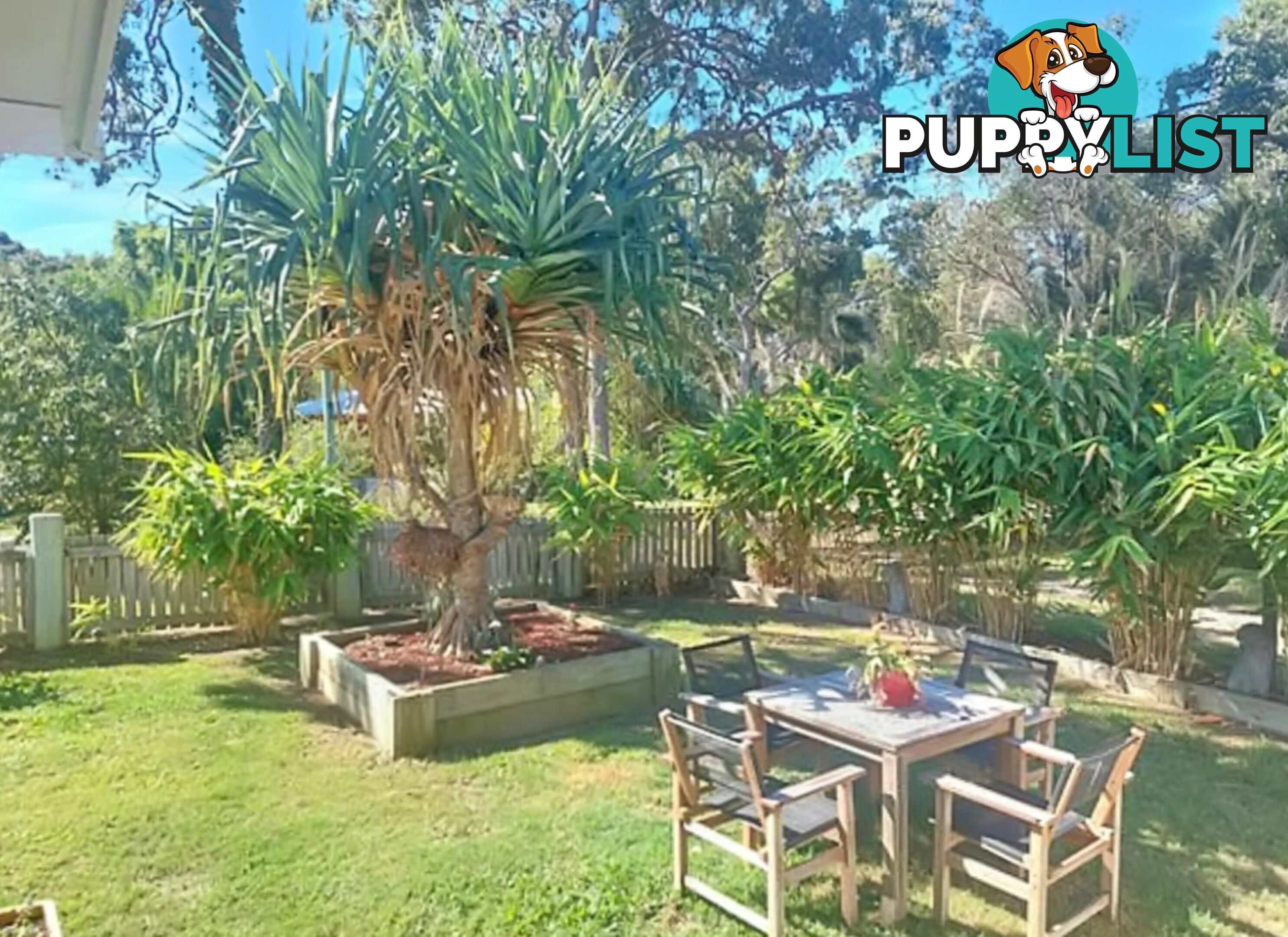 60 Eastbourne Terrace MACLEAY ISLAND QLD 4184