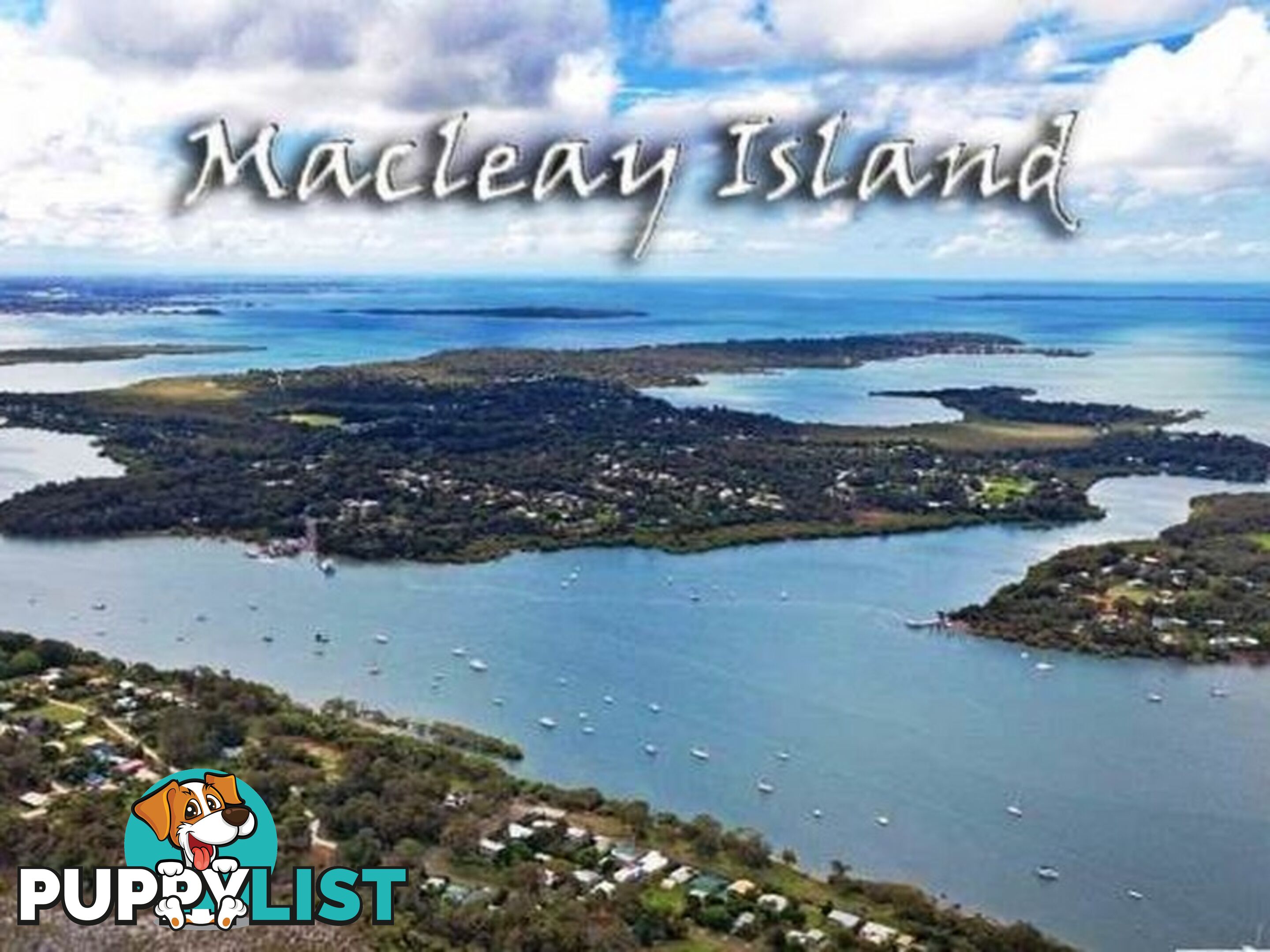 16 Squire Street MACLEAY ISLAND QLD 4184