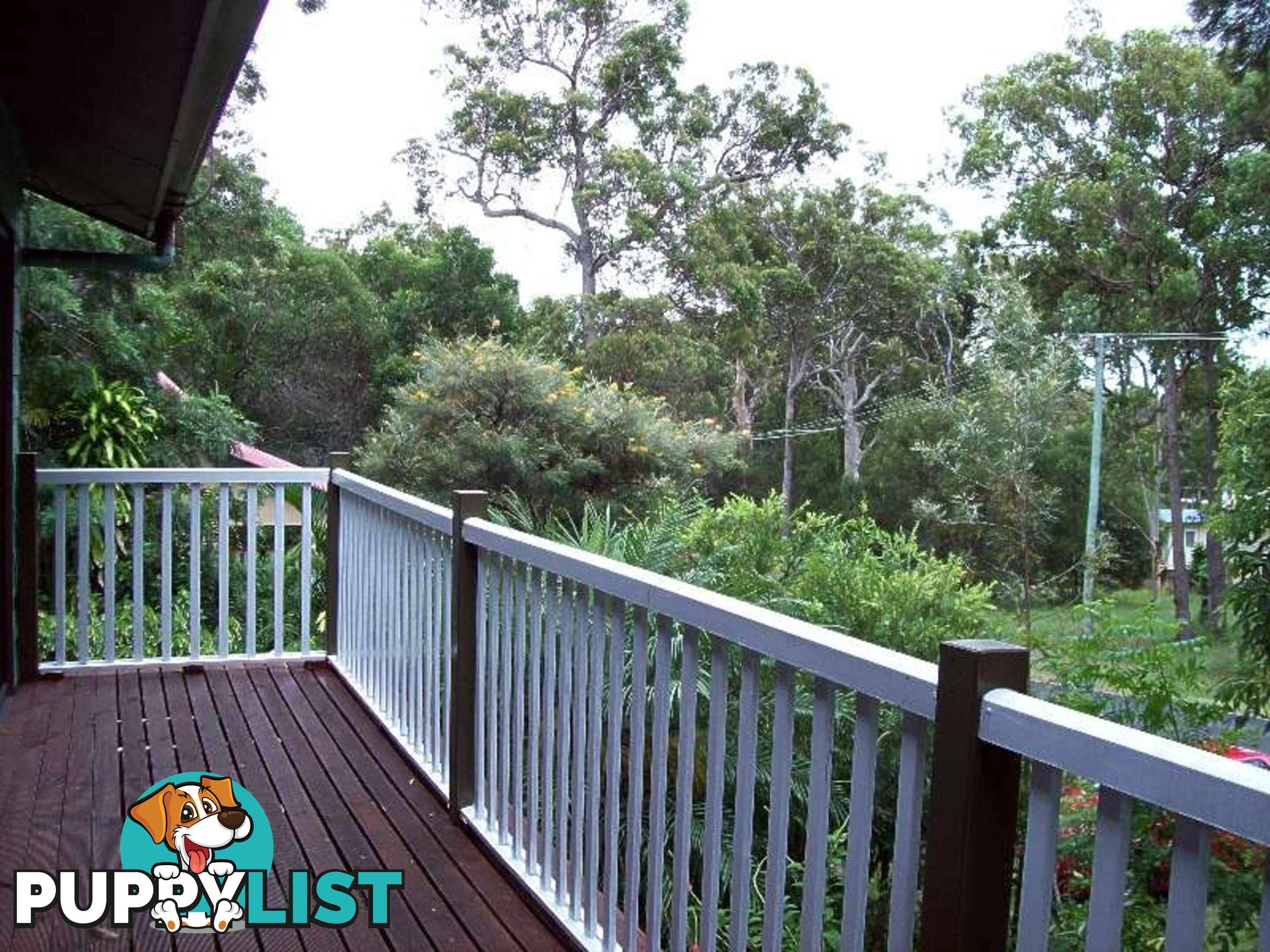 14 Kooberry Street MACLEAY ISLAND QLD 4184