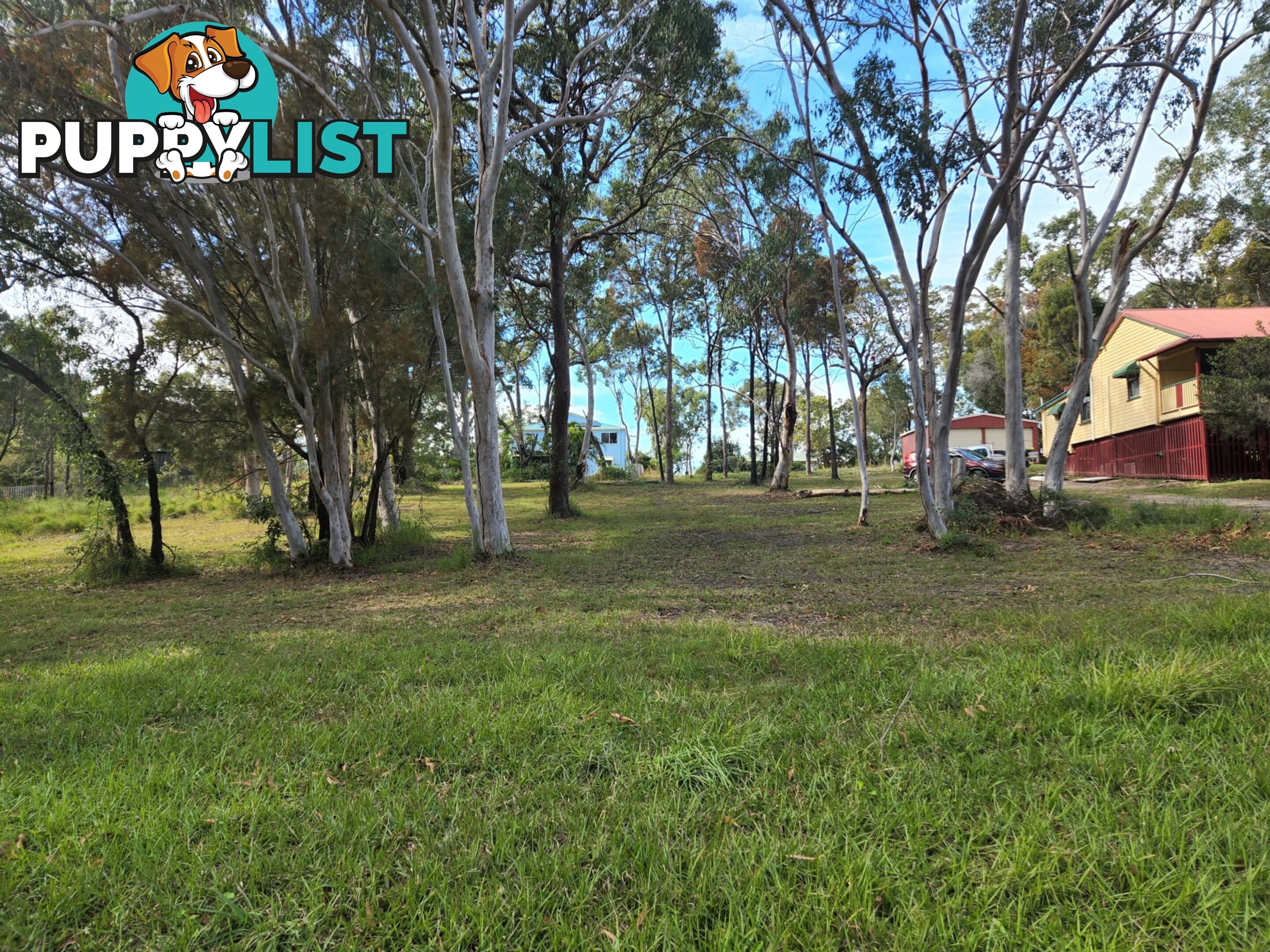 6 Kardinia Street MACLEAY ISLAND QLD 4184