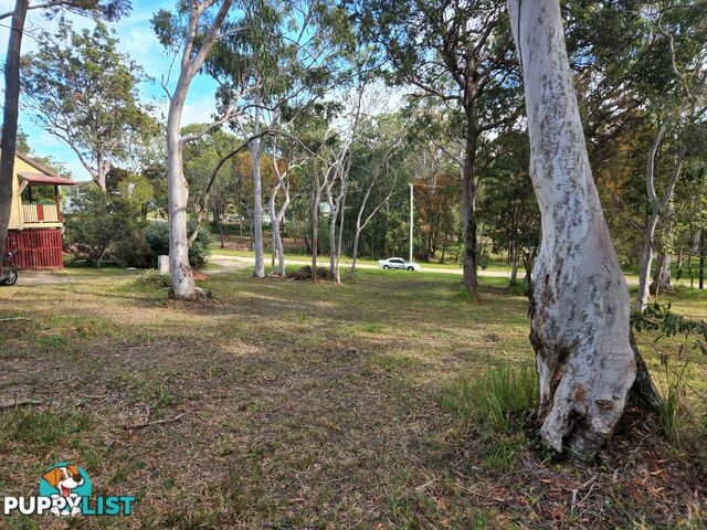 6 Kardinia Street MACLEAY ISLAND QLD 4184