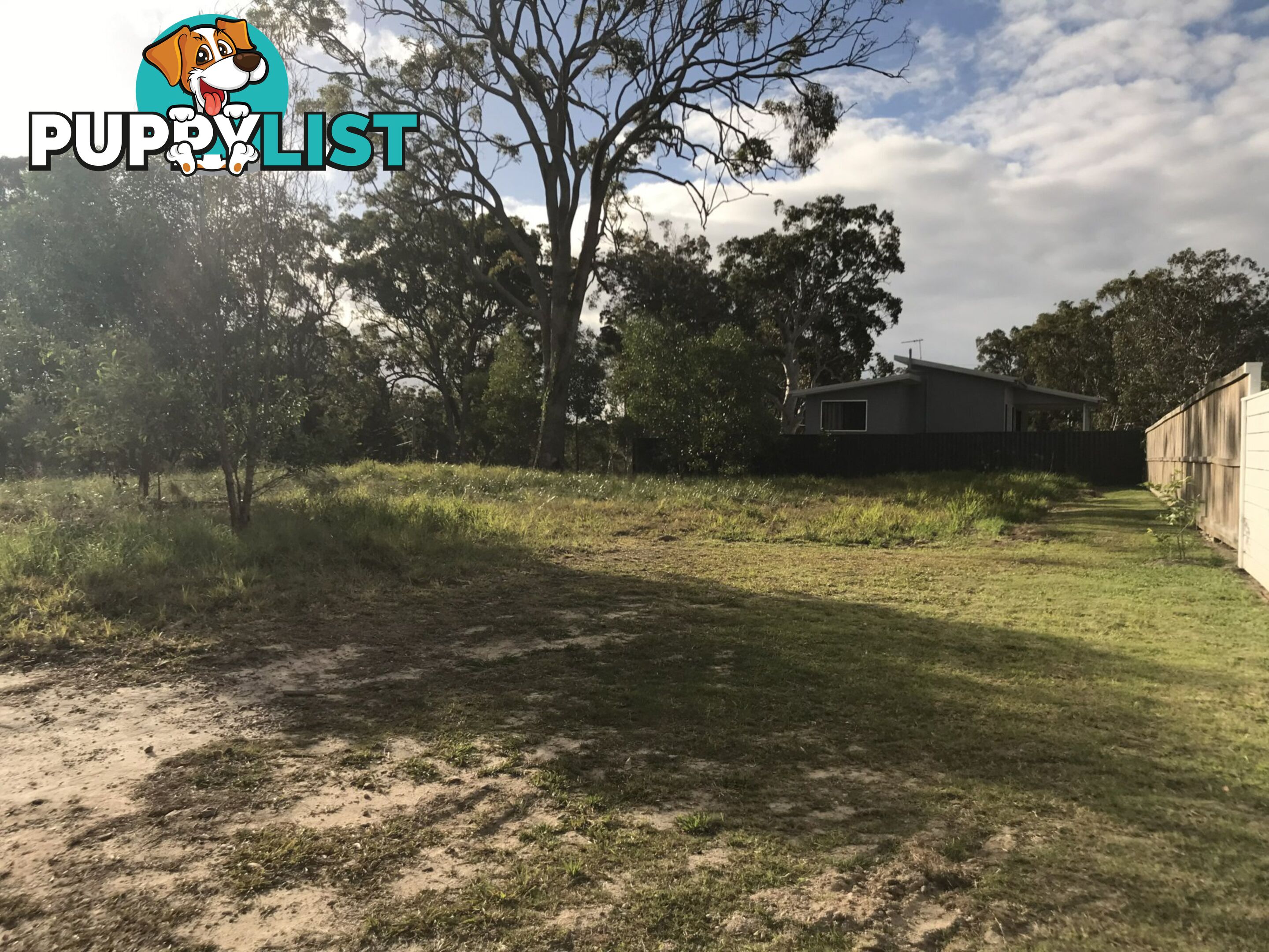 17 Leanne Street MACLEAY ISLAND QLD 4184