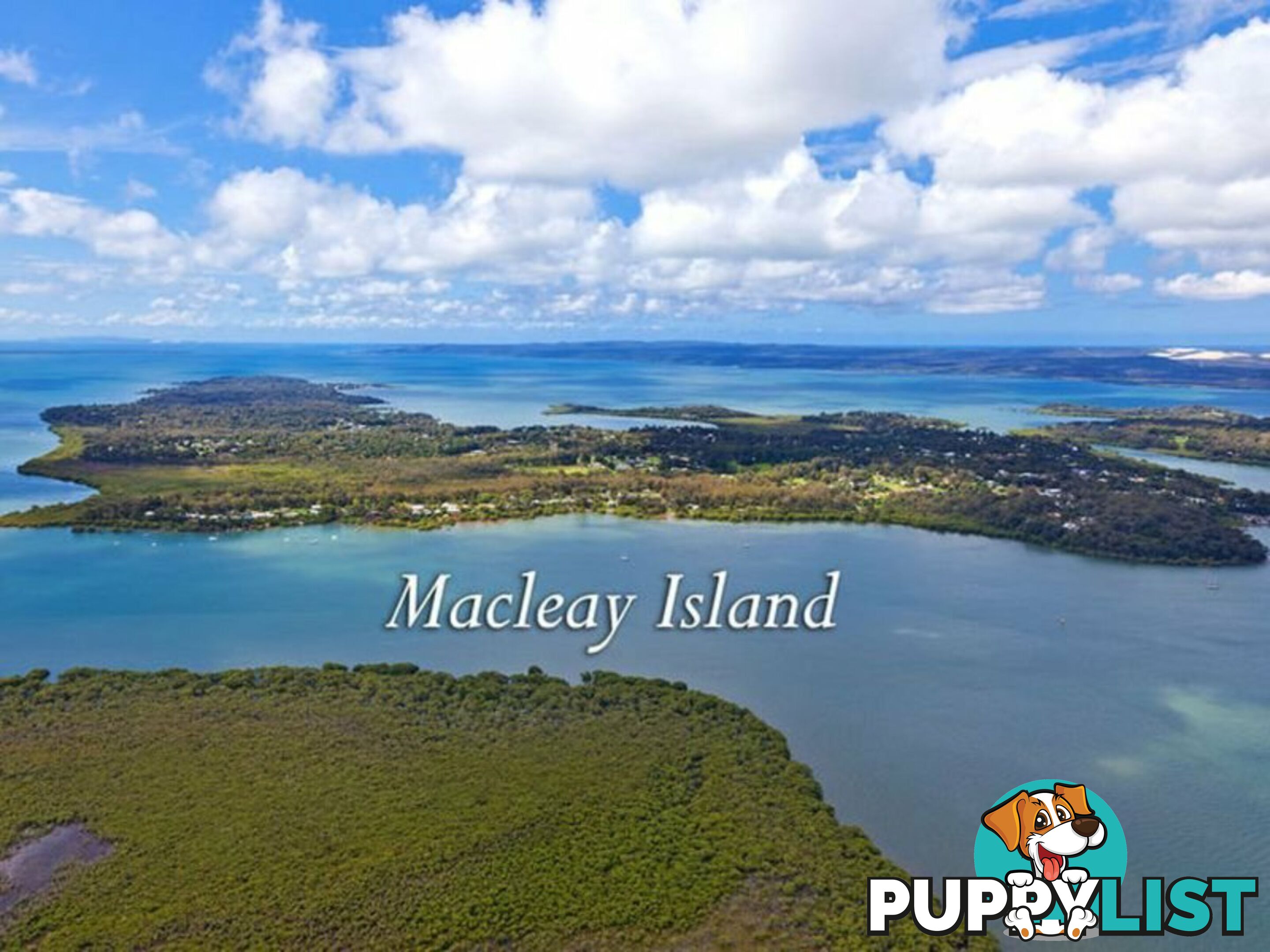 17 Leanne Street MACLEAY ISLAND QLD 4184