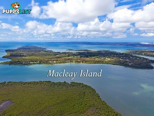 17 Leanne Street MACLEAY ISLAND QLD 4184