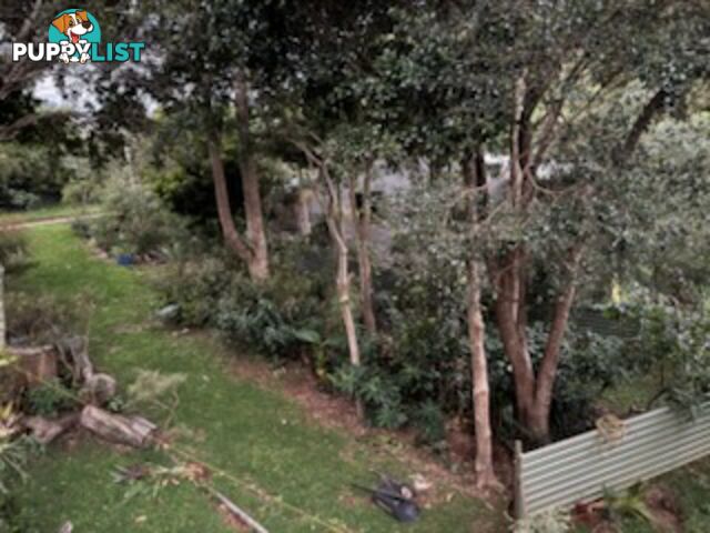 12 McBean Road KARRAGARRA ISLAND QLD 4184