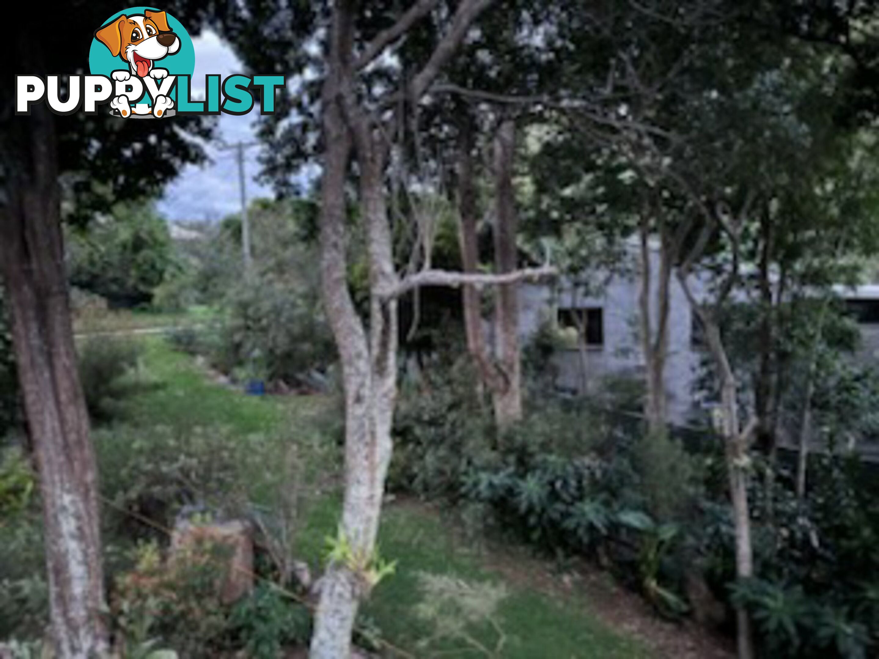 12 McBean Road KARRAGARRA ISLAND QLD 4184