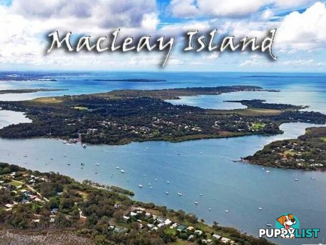 19 Blue Waters Crescent MACLEAY ISLAND QLD 4184