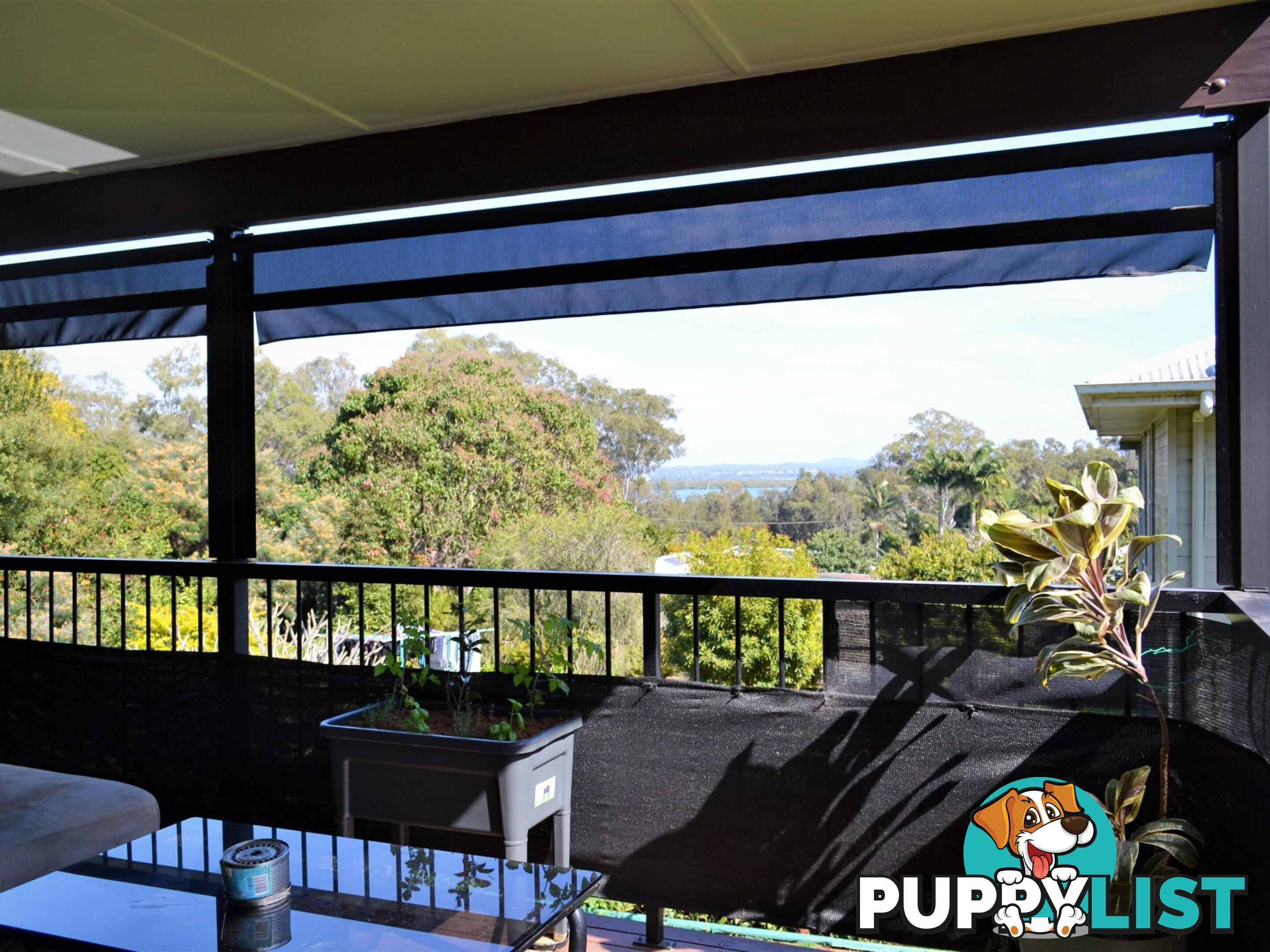 20 Eastbourne Terrace MACLEAY ISLAND QLD 4184