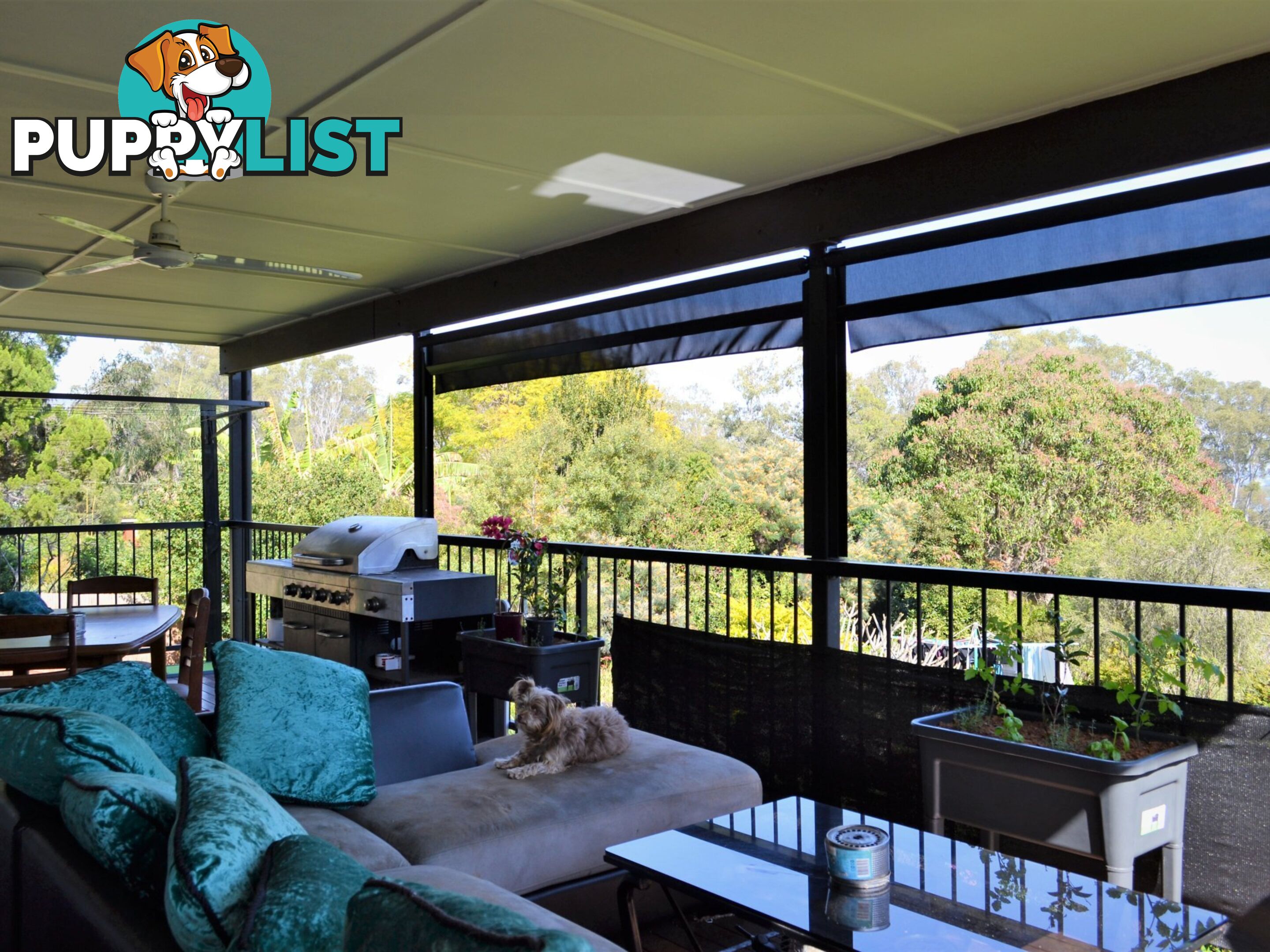 20 Eastbourne Terrace MACLEAY ISLAND QLD 4184