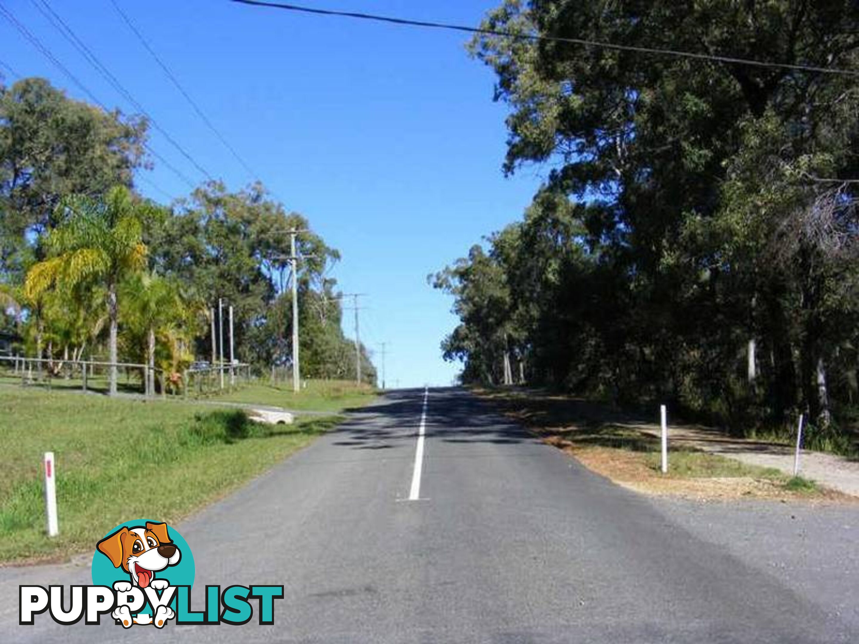 187 Kate Street MACLEAY ISLAND QLD 4184