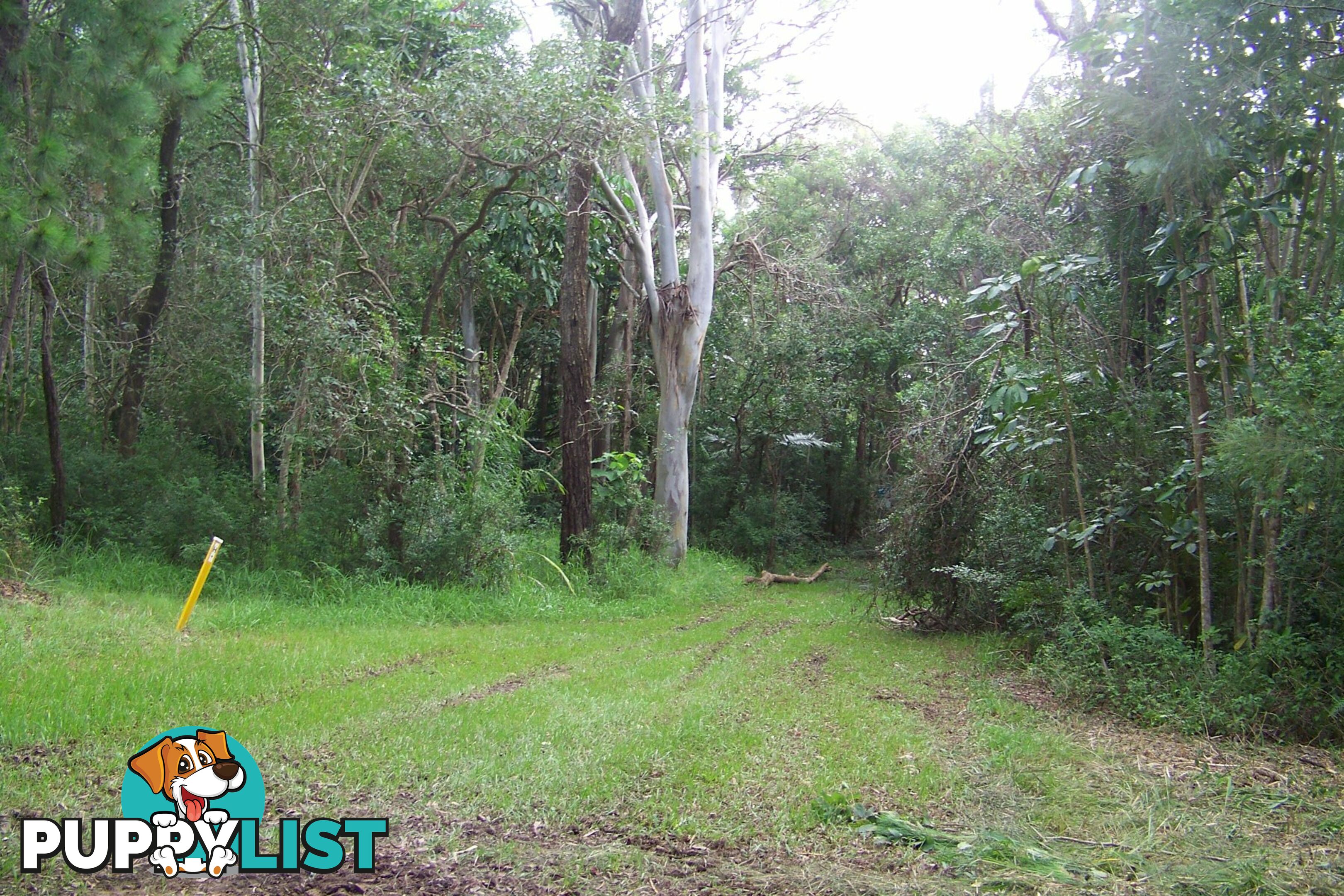 105 Perulpa Drive LAMB ISLAND QLD 4184