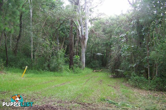 105 Perulpa Drive LAMB ISLAND QLD 4184