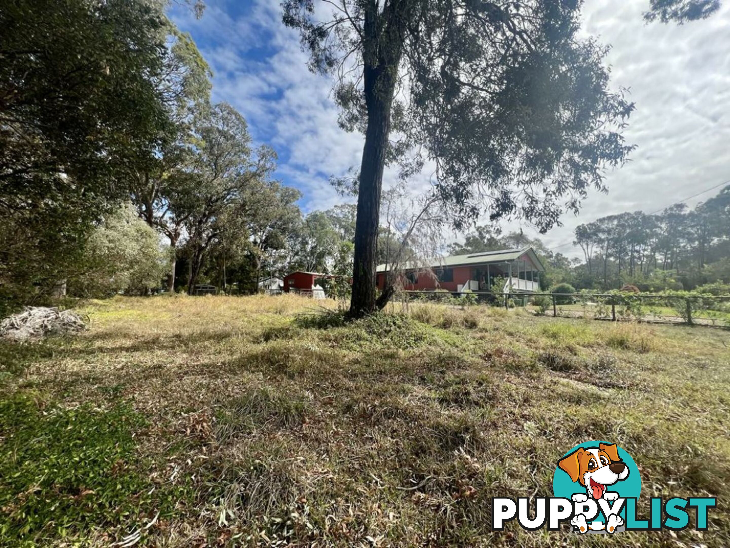 6 Double Bay Street MACLEAY ISLAND QLD 4184