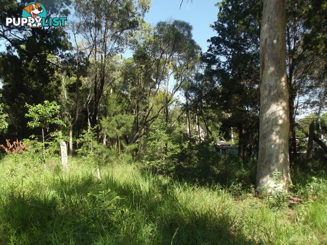 59 Kate Street MACLEAY ISLAND QLD 4184