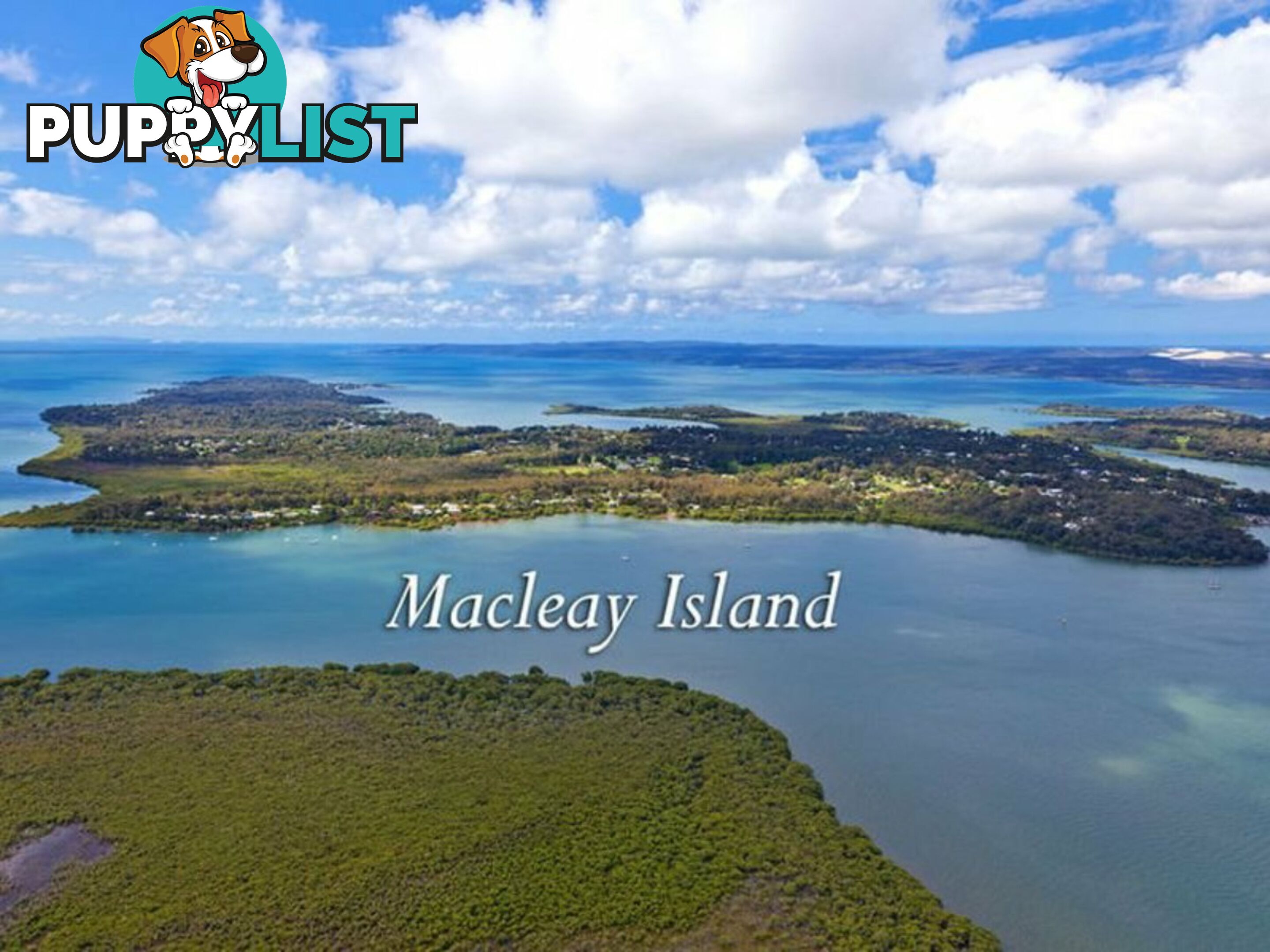 59 Kate Street MACLEAY ISLAND QLD 4184