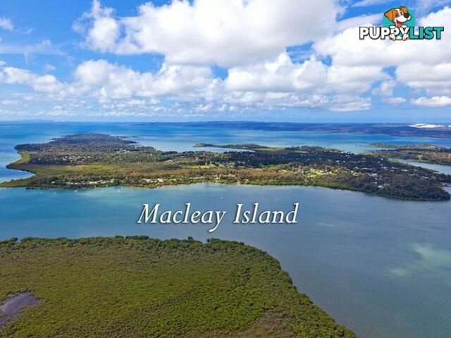 59 Kate Street MACLEAY ISLAND QLD 4184