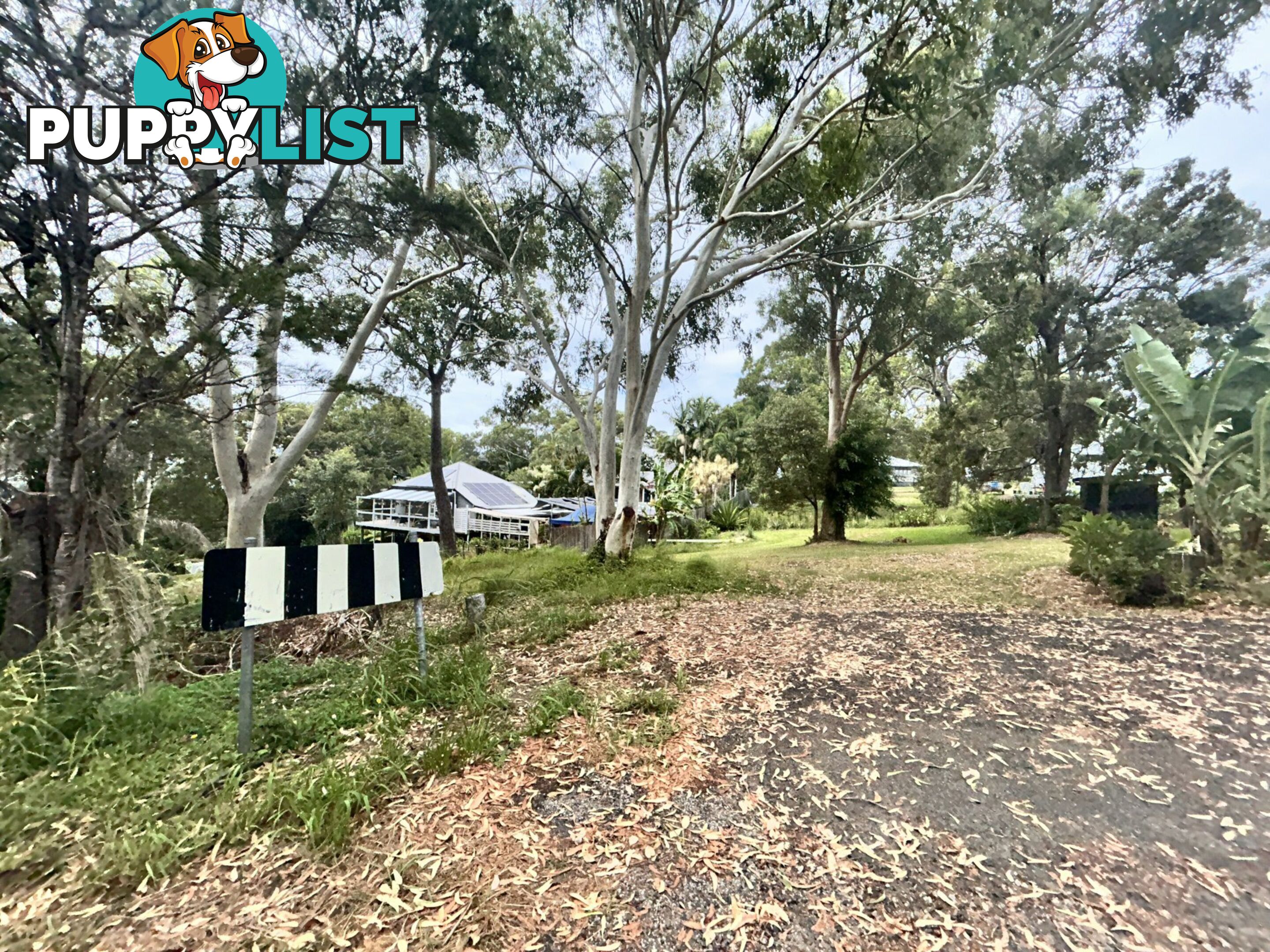 32 Leanne Street MACLEAY ISLAND QLD 4184