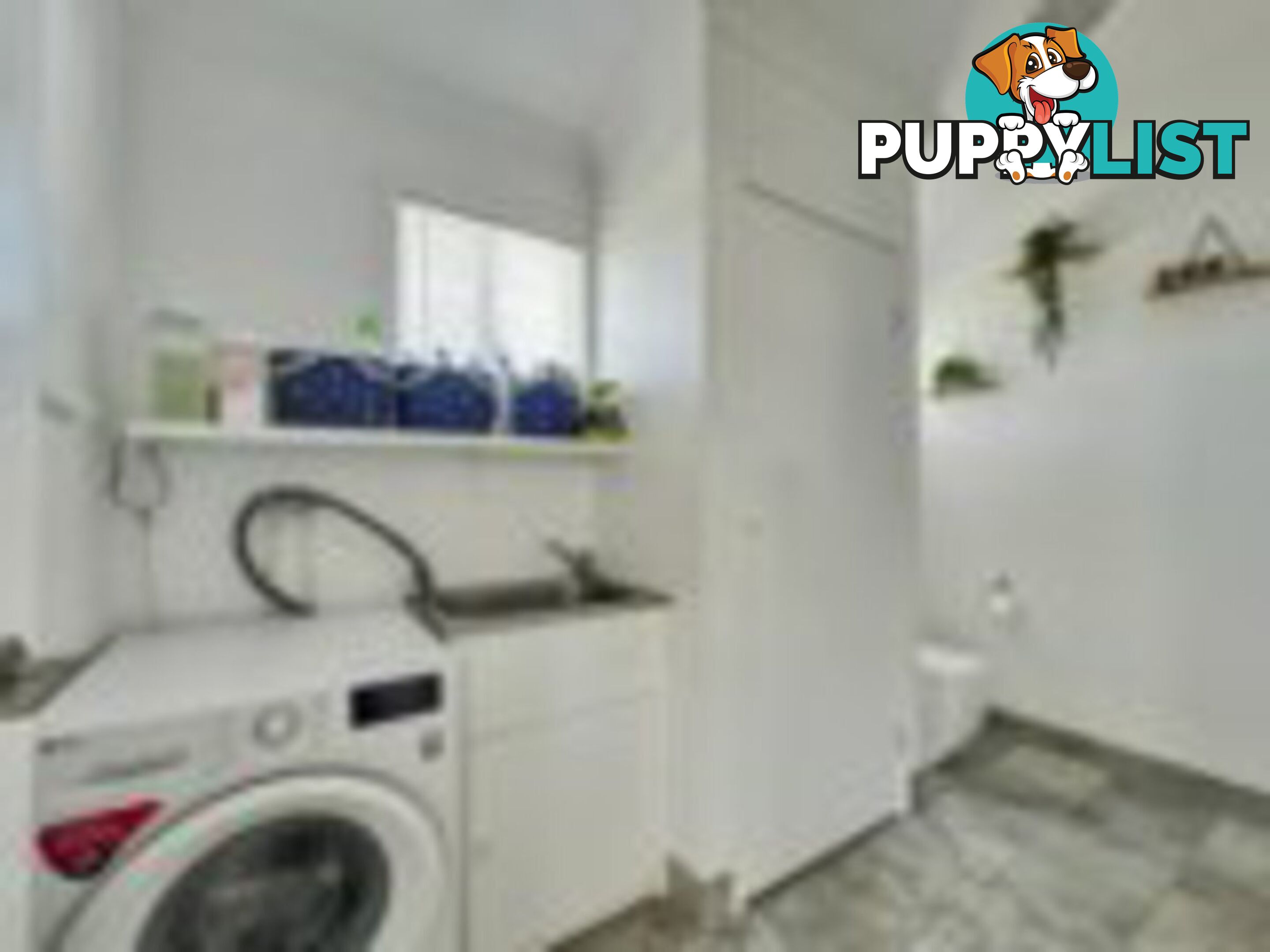 1 Vine Street MACLEAY ISLAND QLD 4184