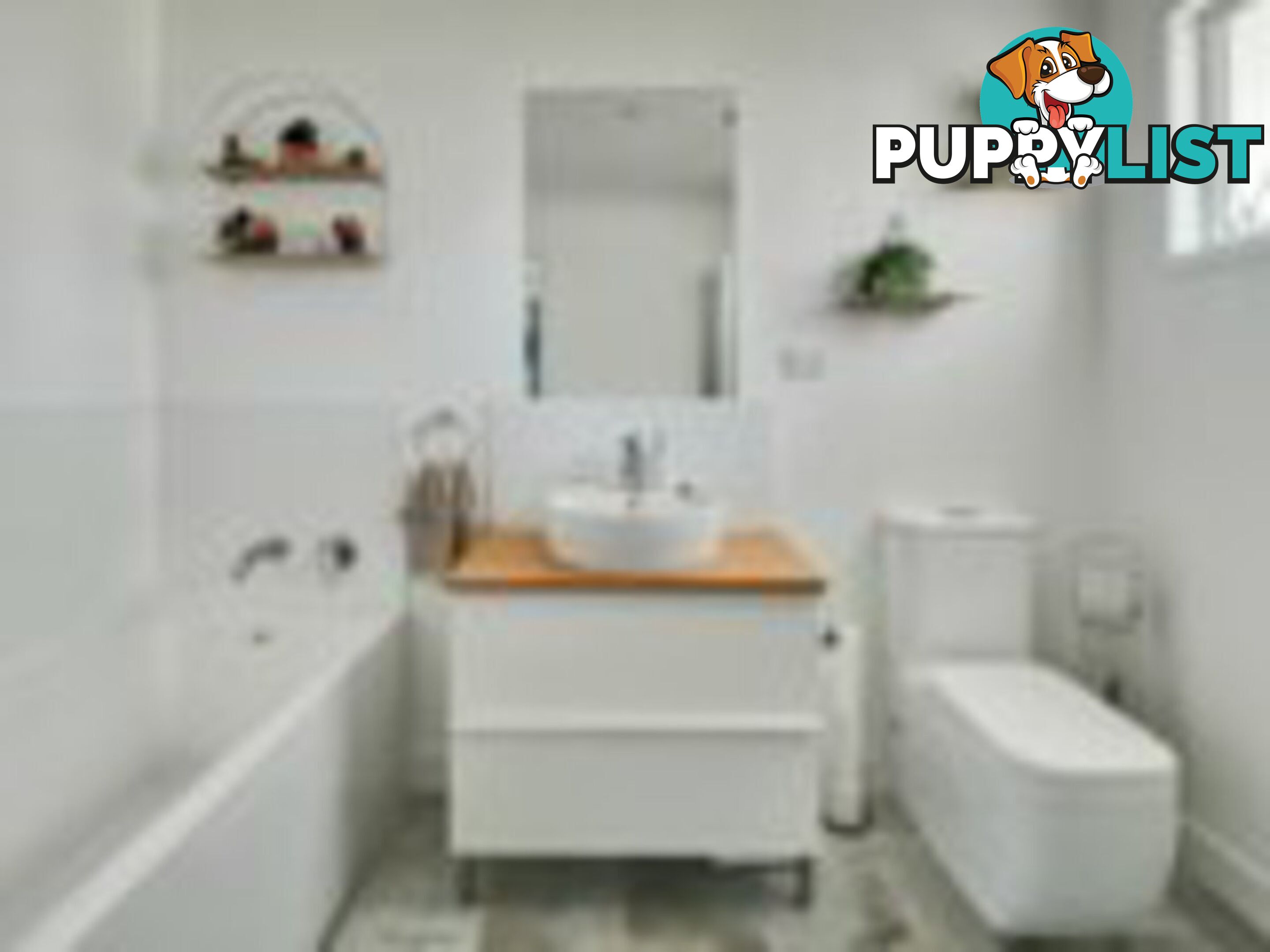 1 Vine Street MACLEAY ISLAND QLD 4184