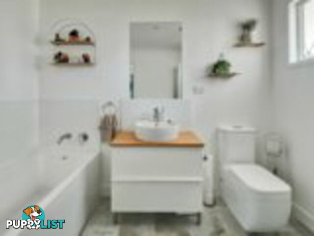 1 Vine Street MACLEAY ISLAND QLD 4184