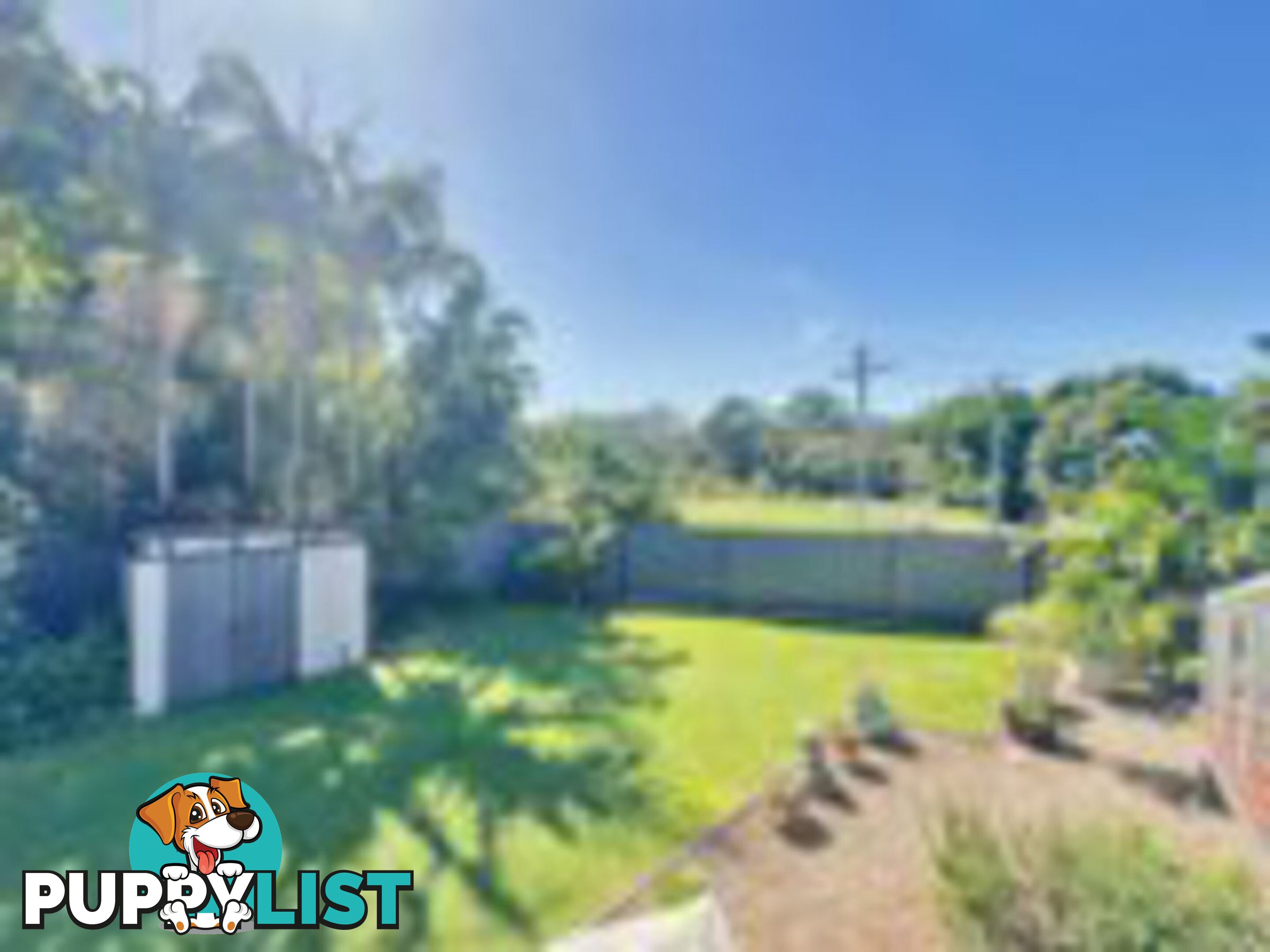 1 Vine Street MACLEAY ISLAND QLD 4184