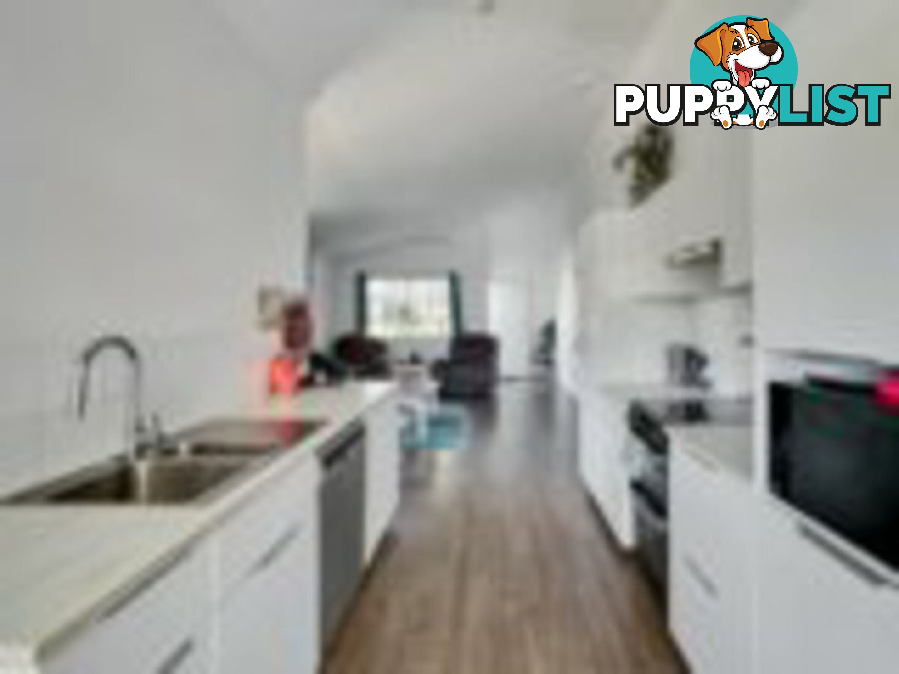 1 Vine Street MACLEAY ISLAND QLD 4184