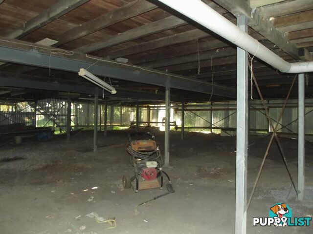39 Kardinia Street MACLEAY ISLAND QLD 4184
