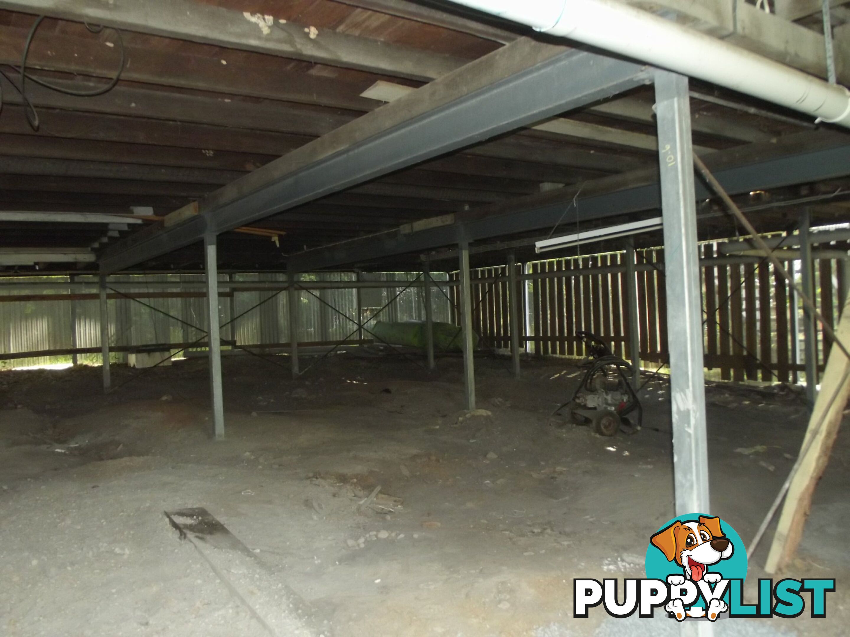 39 Kardinia Street MACLEAY ISLAND QLD 4184