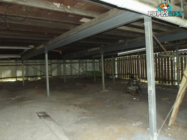 39 Kardinia Street MACLEAY ISLAND QLD 4184