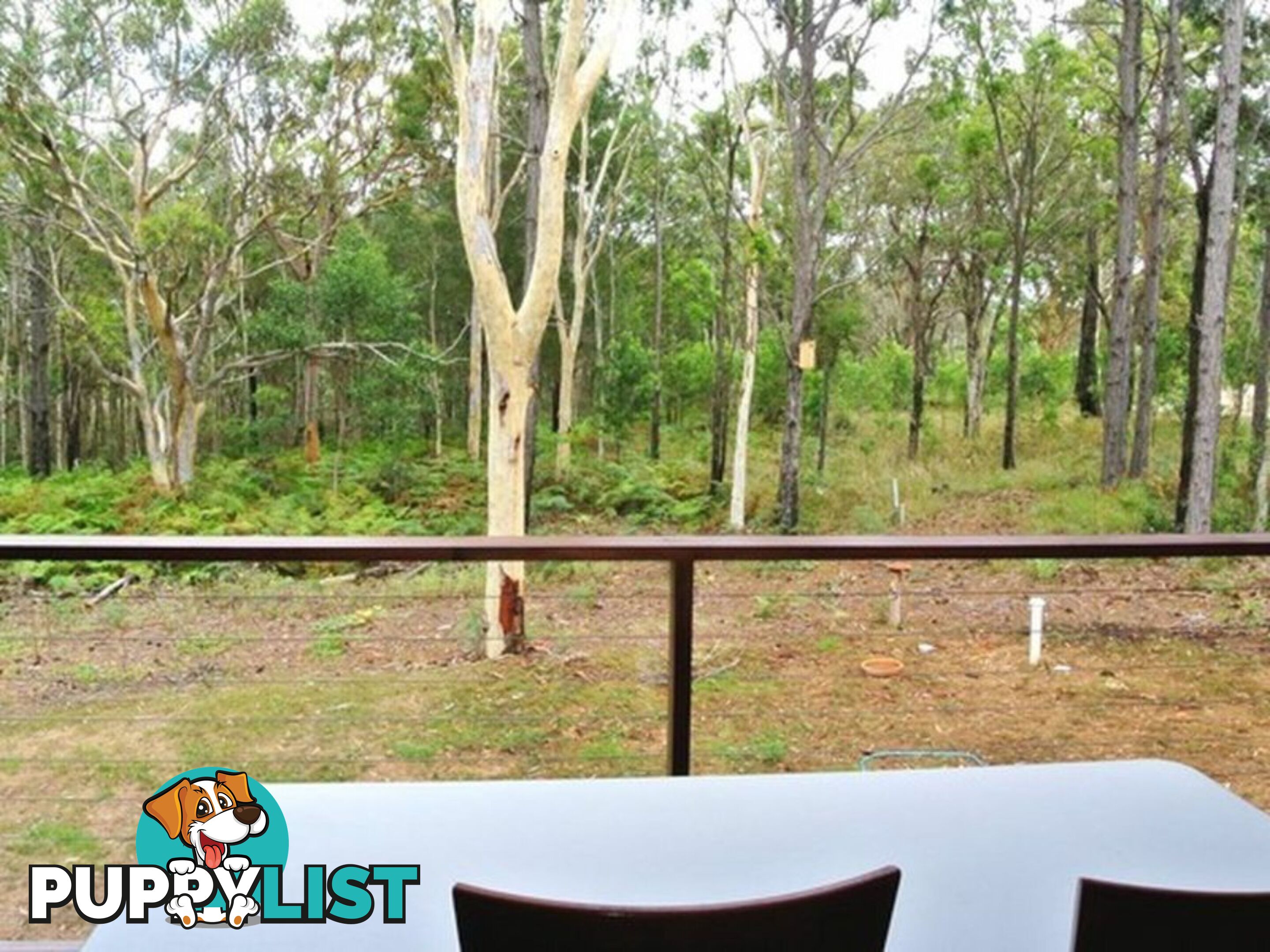 23 Alexander Street MACLEAY ISLAND QLD 4184