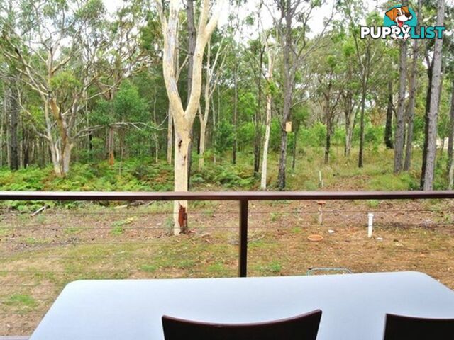 23 Alexander Street MACLEAY ISLAND QLD 4184