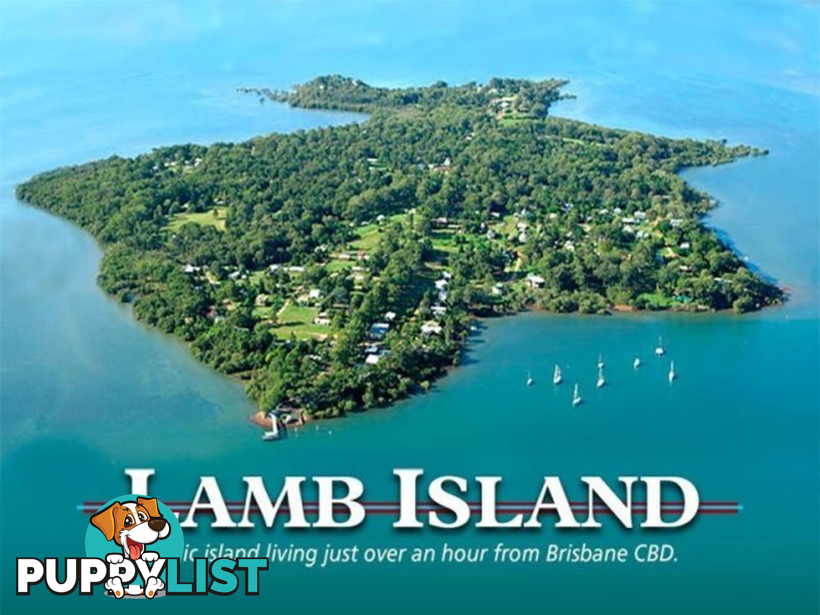 3 Niel Street LAMB ISLAND QLD 4184