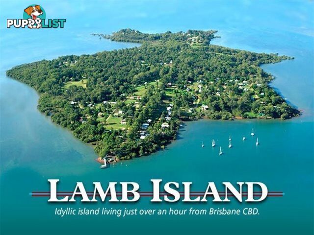 3 Niel Street LAMB ISLAND QLD 4184