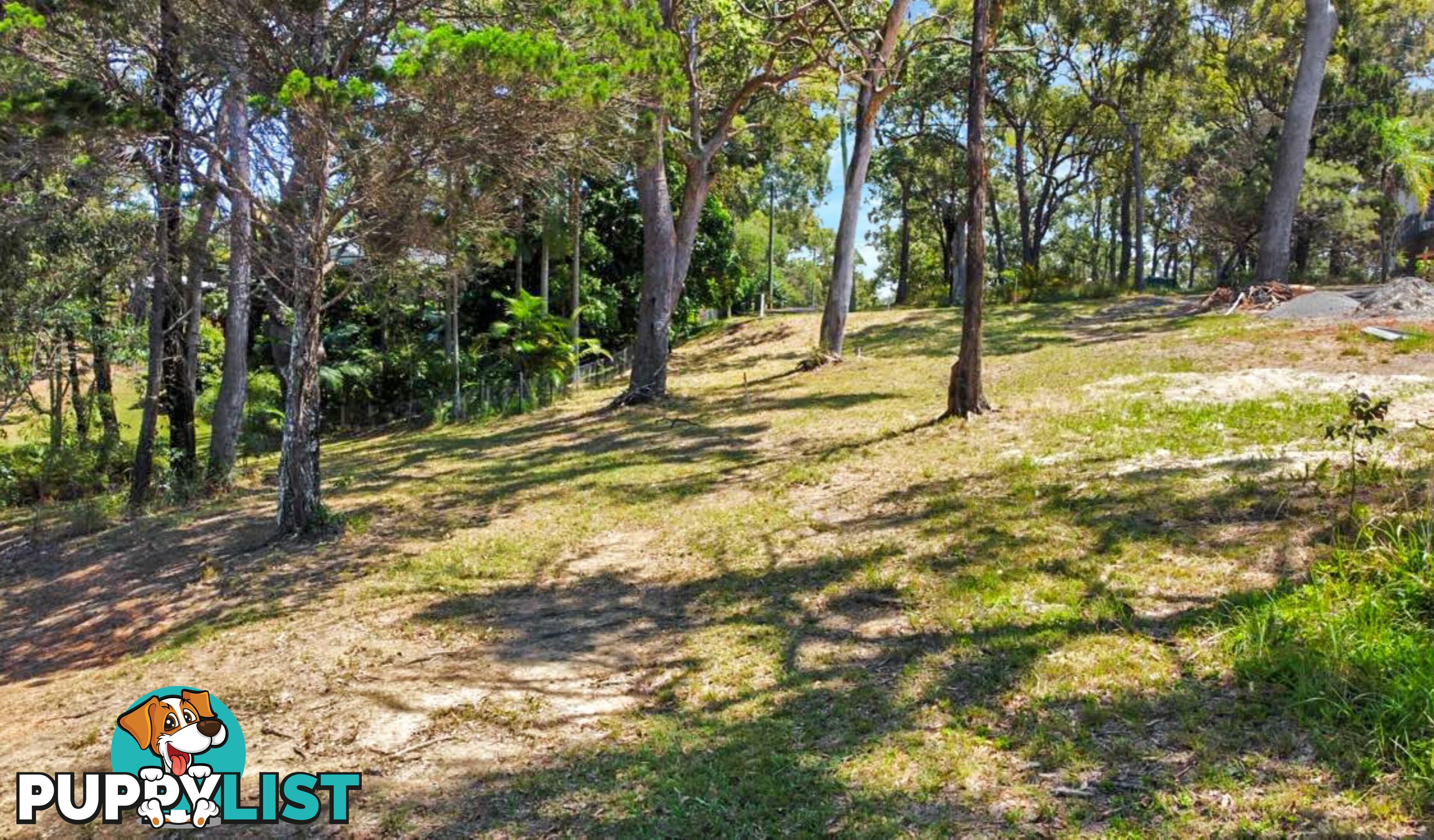 74 Beelong Street MACLEAY ISLAND QLD 4184