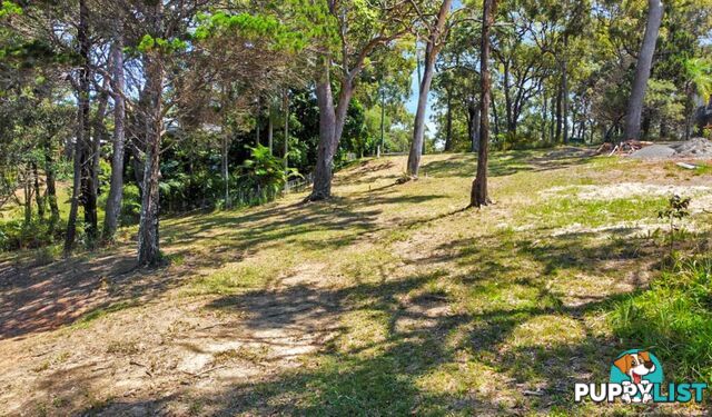 74 Beelong Street MACLEAY ISLAND QLD 4184